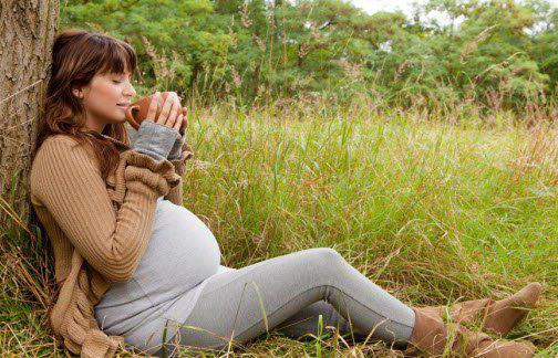 Je možné pít čaj těhotným ženám?