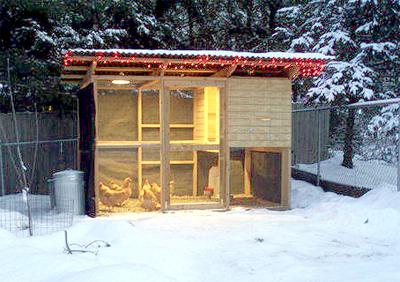 kuřecí dům v zimě 