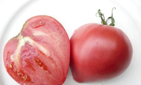tomato big momma recenze