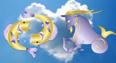 Kompatibilita horoskopu: Kozoroh-žena, mužské ryby