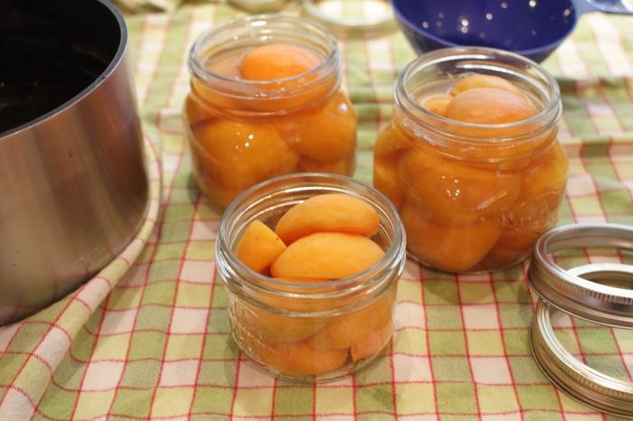 Jak připravit meruňku v sirupu na zimu?