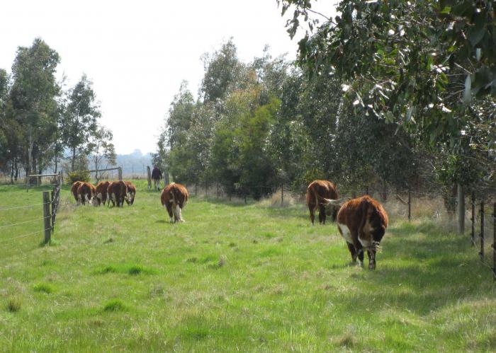 Nájemcem je nájemník, nebo správně budeme nájemní vztahy