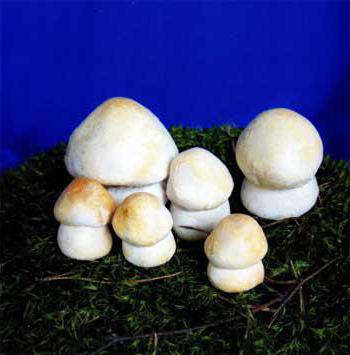 houby ze slaného těsta