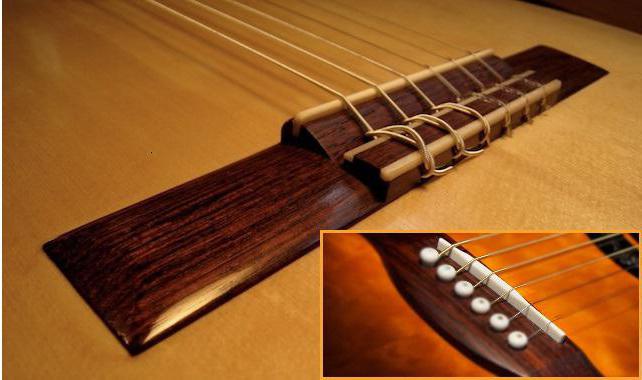 Guitar acoustic Martinez FAW-702: popis, specifikace, hodnocení