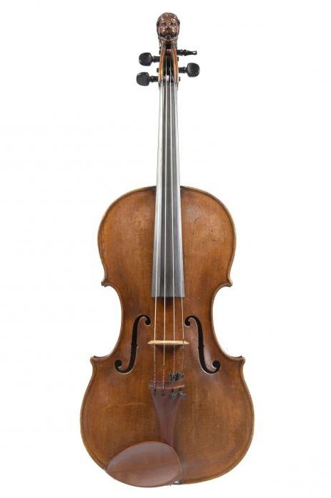 amati nikolo