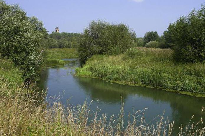 zdroj řeky Nevy