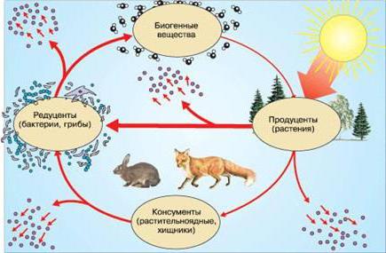 jaké jsou důvody pro změnu biogeocenózy