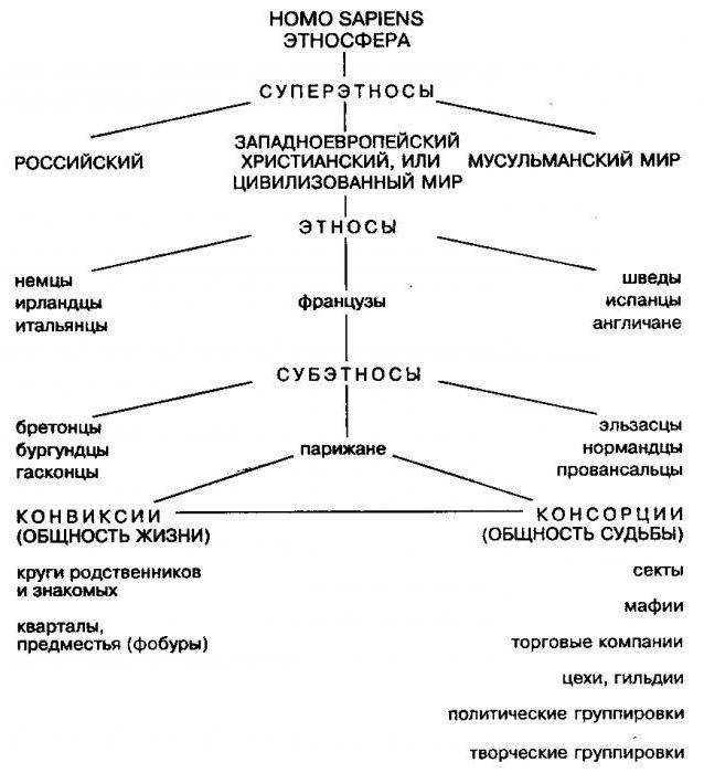 Pohon Gumilev