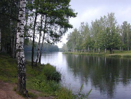 Anglický park 