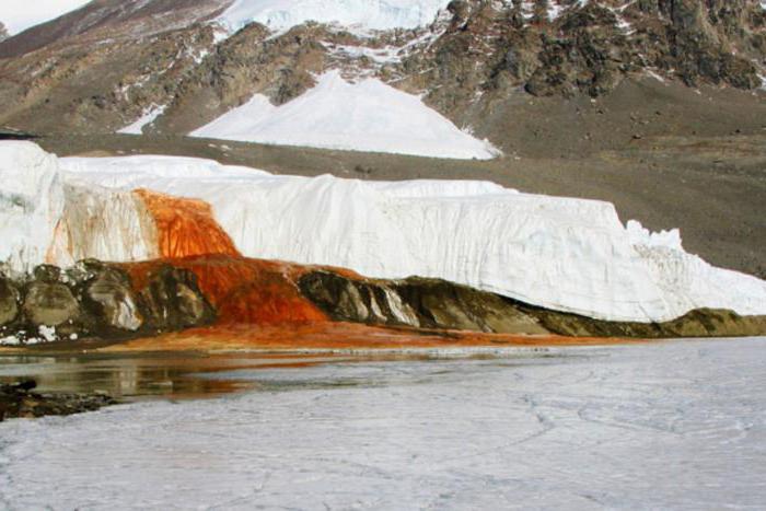 Taylor Glacier