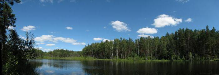 fotografie Crooked jezero