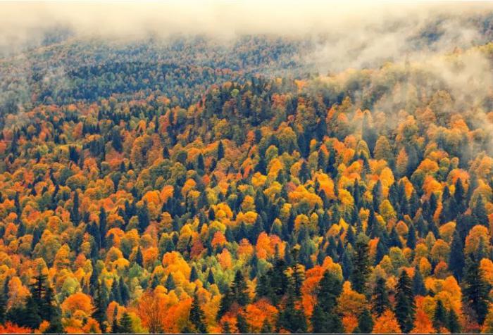 Plateau Lagonaki - alpské louky na Kavkaze