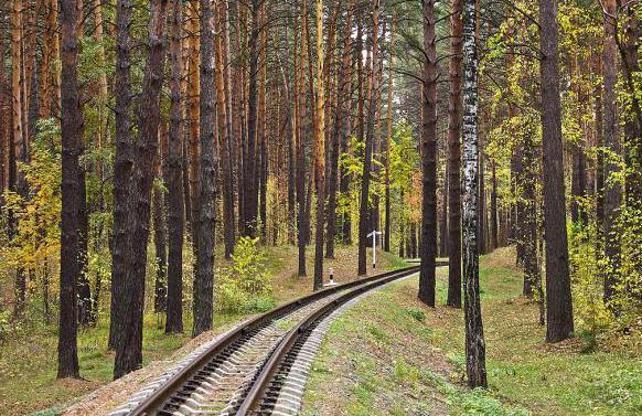 Navštěvujete Novosibirsk? Zaeltsovsky Park si zaslouží zvláštní pozornost