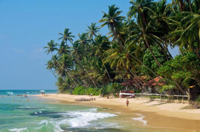 Srí Lanka, kde si můžete v zimě odpočinout
