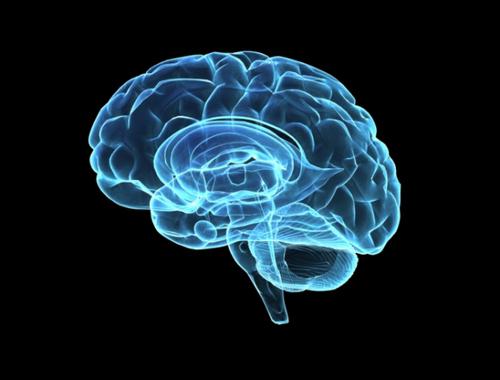 vývoj pravé hemisféry mozkových cvičení 