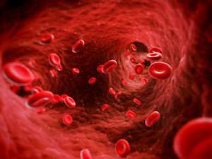 tekutá část krve se nazývá červené krvinky plazmy